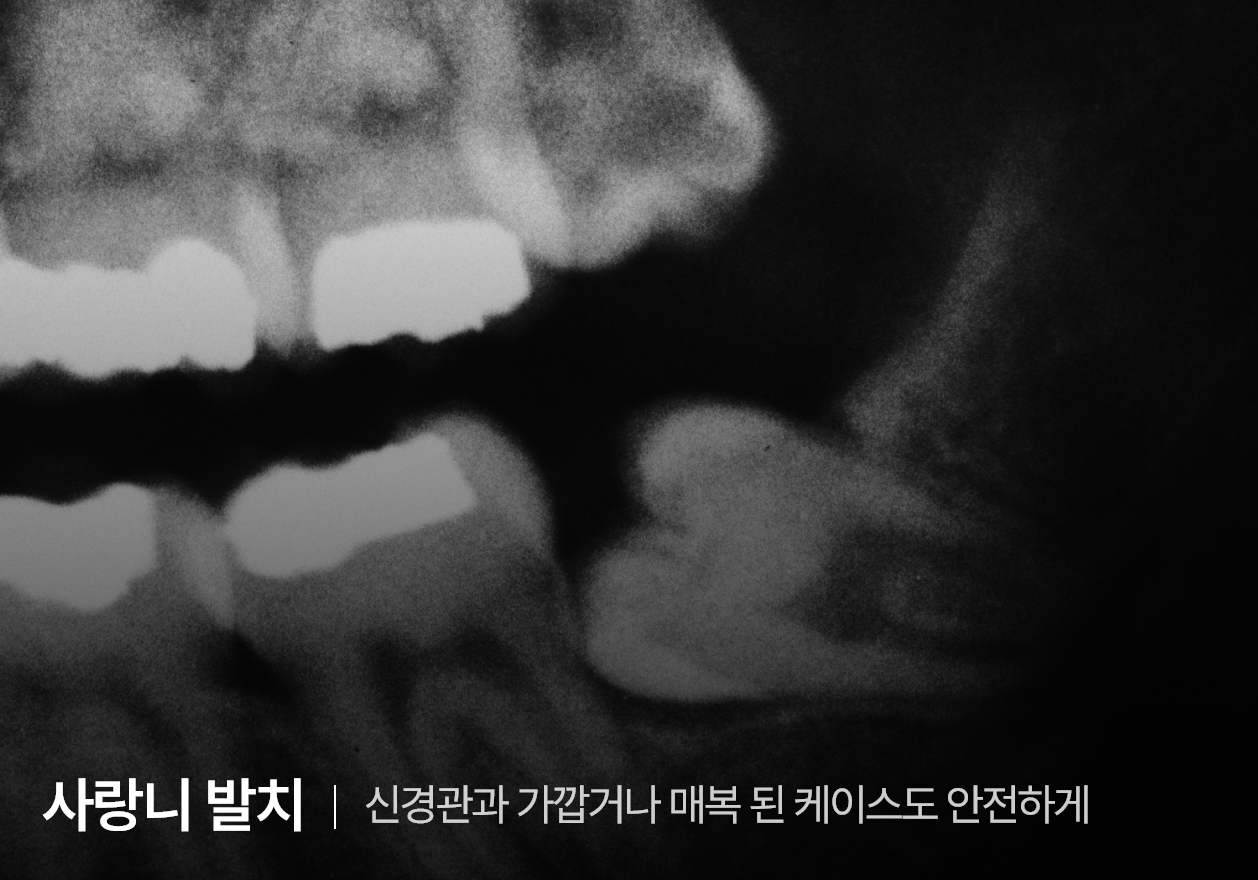 통합치의학과 전문의 대표원장이 직접 진료합니다.
